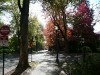 P1010360.JPG